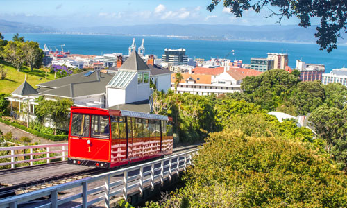Wellington travel image